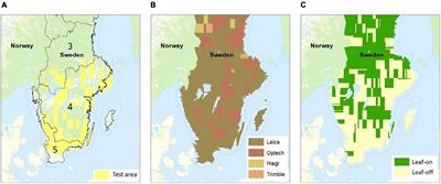 A Comparison of Model-Assisted Estimators, With and Without Data-Driven Transformations of Auxiliary Variables, With Application to Forest Inventory